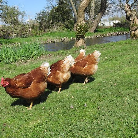 Bed&Brood De Straverdonk Graft ภายนอก รูปภาพ